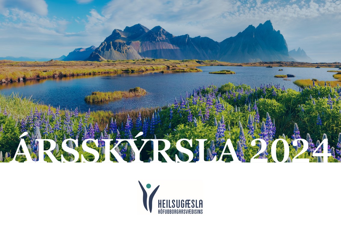 Mynd af frétt Ársskýrsla HH fyrir árið 2024 er komin út
