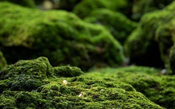 Námskeið fyrir börn, foreldra og fleiri